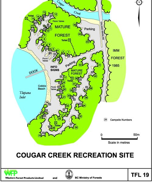 cougar-scaled.jpg