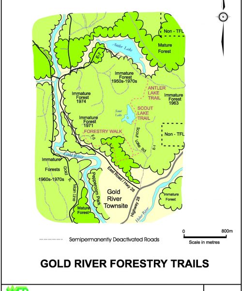 gold-river-forestry-trails-scaled.jpg